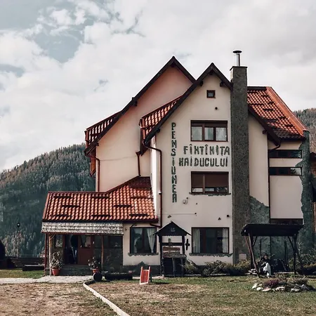 Pensiunea Fantanita Haiducului Guest house Ciungetu
