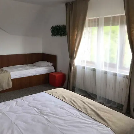 Pensiunea Fantanita Haiducului